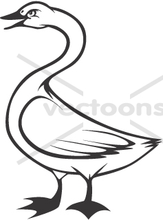 237x320 Collection Of Free Swan Clipart Tundra Swan Bean Clipart Coffee
