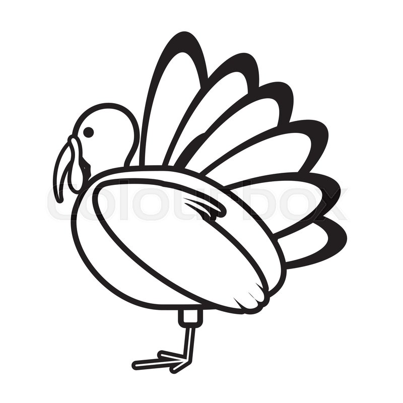800x800 Turkey Bird Thanksgiving Icon Vector Stock Vector Colourbox