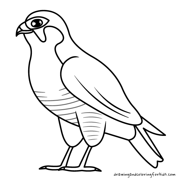 600x600 Drawing Birds For Kids Coloring Pages Birds Drawing Penguin