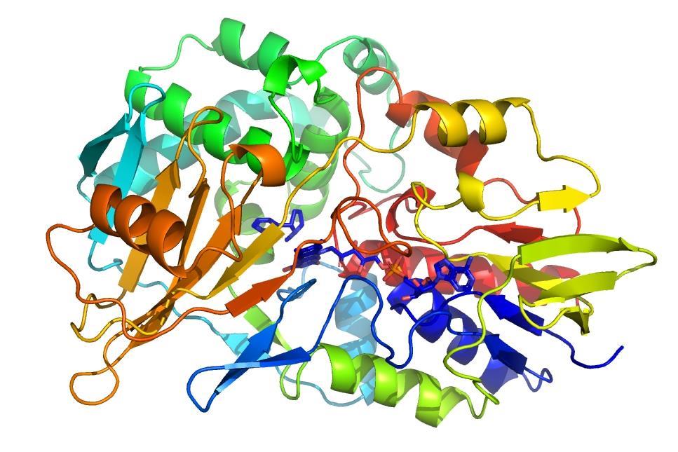 967x645 drawing on drugs to kick the habit feature chemistry world