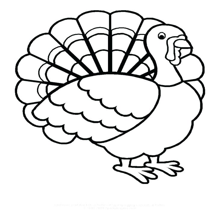 728x728 How To Draw A Simple Turkey