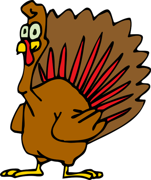 498x594 Drawing Turkey, Picture