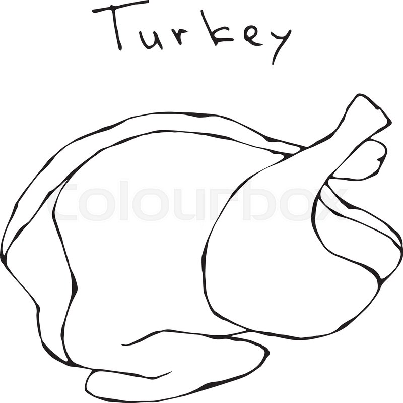 800x799 Raw Turkey Full Carcass Realistic Stock Vector Colourbox
