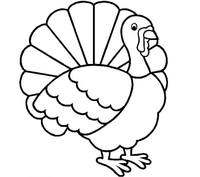 678x600 Cartoon Turkey To Color