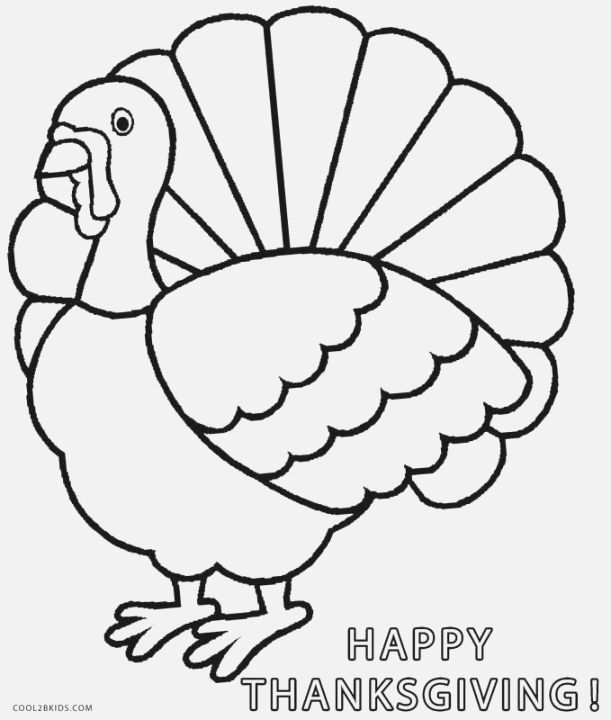 611x720 Huge Collection Of 'color Turkey Drawing' Download More Than