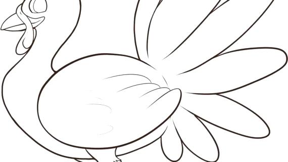 570x320 Turkey Drawing Pictures Kids Turkey Drawing Tom Turkey Drawing