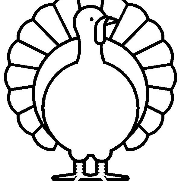 600x600 Outline Of A Turkey Colored Turkey Drawing