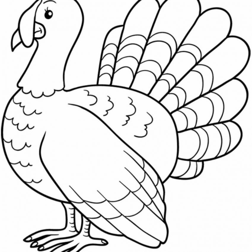 850x850 Coloring Pages Educationsiving Art The Cutest Extraordinary Turkey