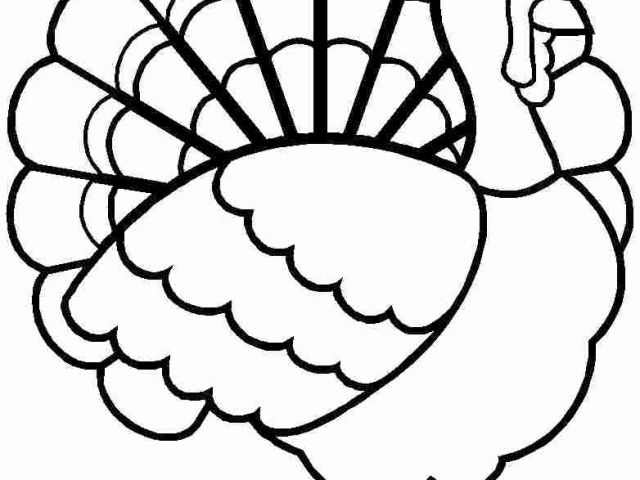 640x480 Printable Turkey Template For Free Printable Thanksgiving Turkey