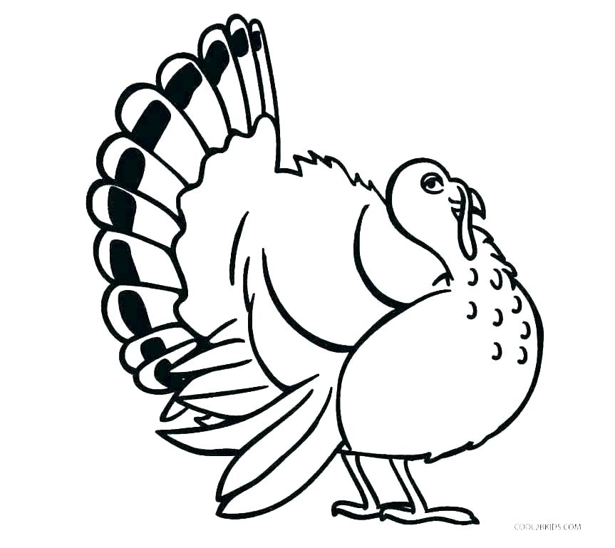 Turkey Drawing Template | Free download on ClipArtMag