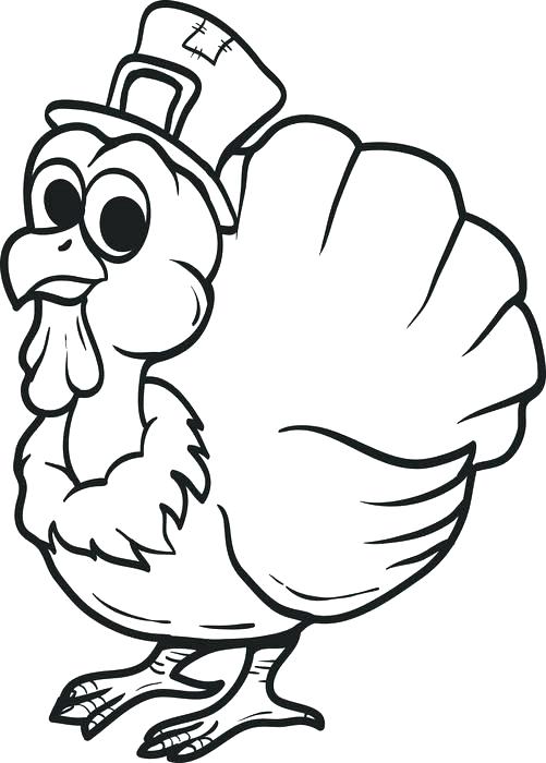 501x700 Free Printable Pictures Of Turkeys To Color
