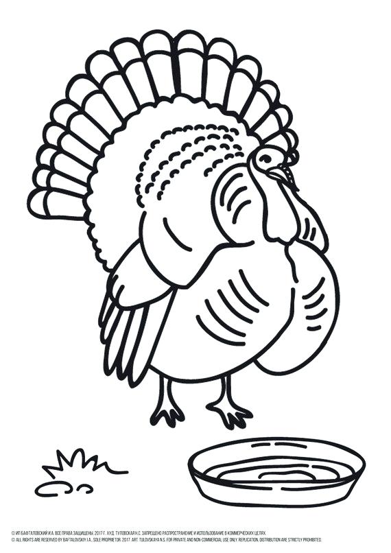 570x806 Picture Of Turkey To Color Turkey Color