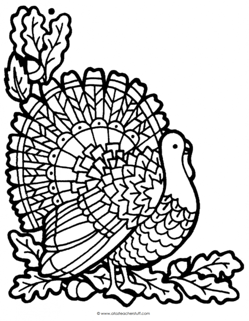 795x1024 Turkey Head Drawing At Getdrawings Com Free For Personal Use