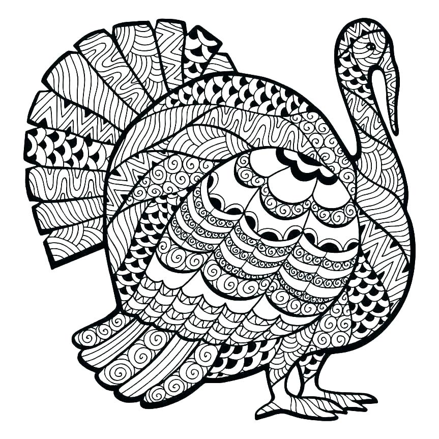863x863 How To Color A Turkey Zupa