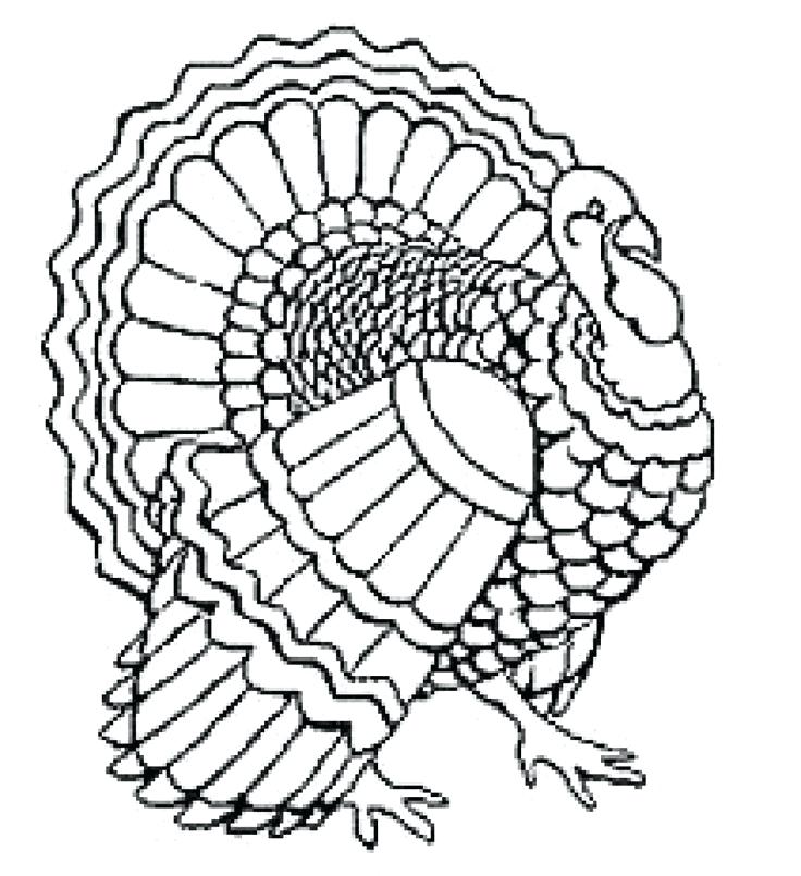 736x805 Cooked Turkey Drawing Free Download Best Cooked Turkey Drawing
