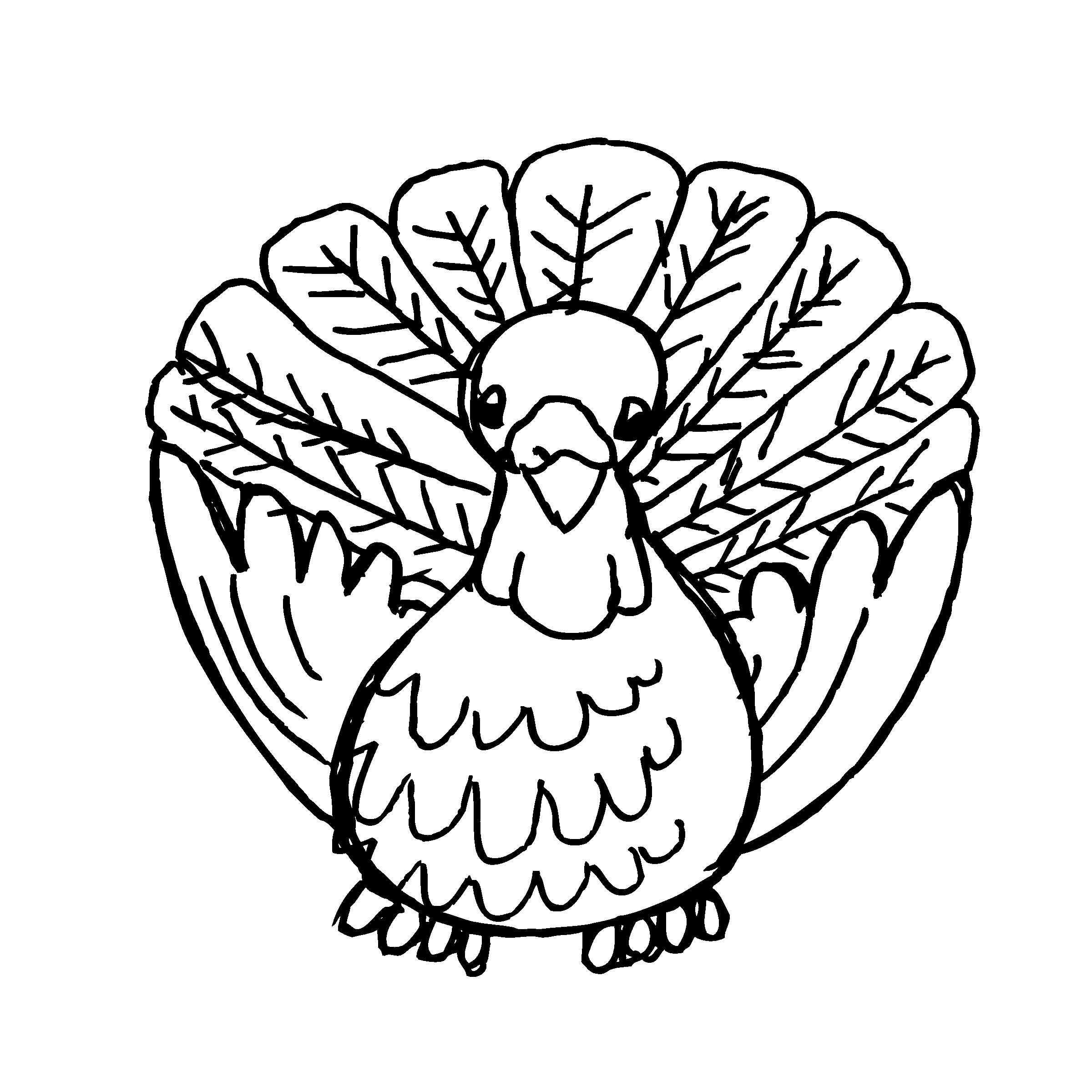 2400x2400 Turkey Feather Clipart