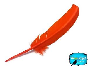 300x225 turkey feathers, orange turkey rounds quill feathers