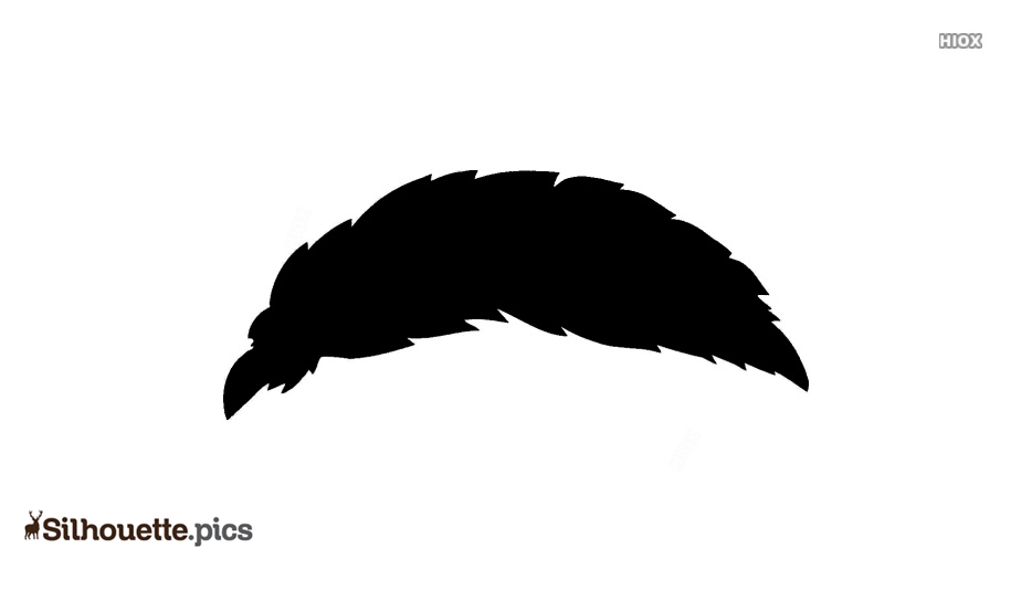 934x534 Turkey Feather Drawing Silhouette Vector, Clipart Images, Pictures