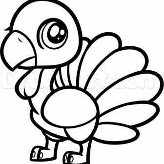 336x336 Turkey Drawing Template Tags How To Draw Animals With Numbers