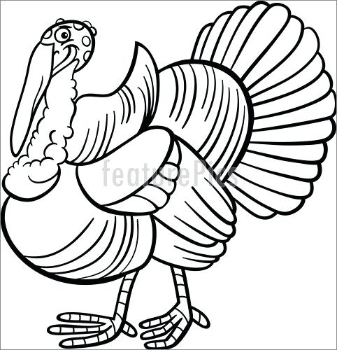 482x500 Cartoon Turkey Head Image Titled Draw A Turkey Step Cartoon Turkey