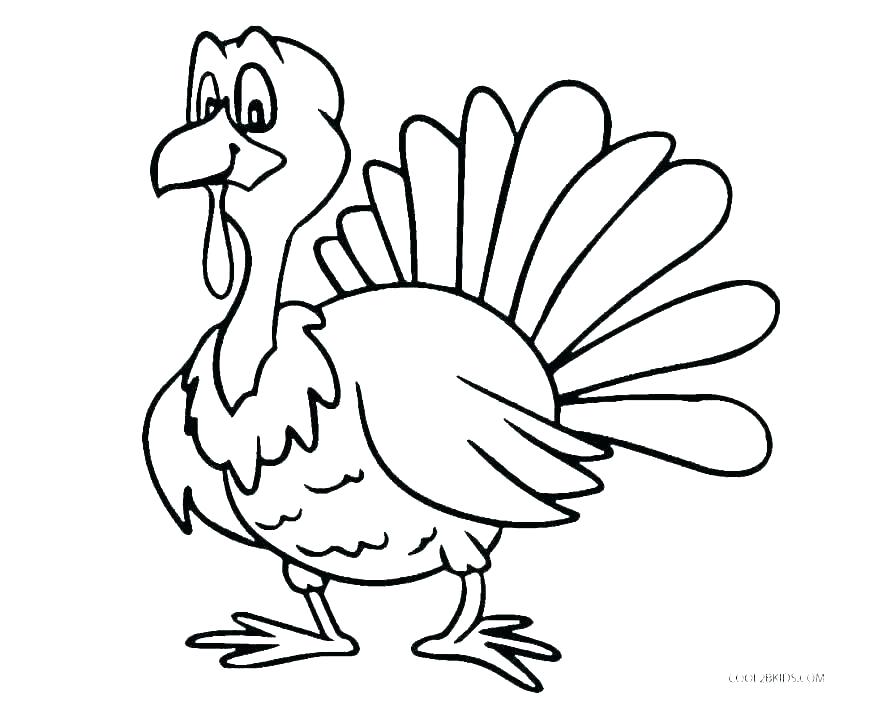 878x706 Turkeys To Color