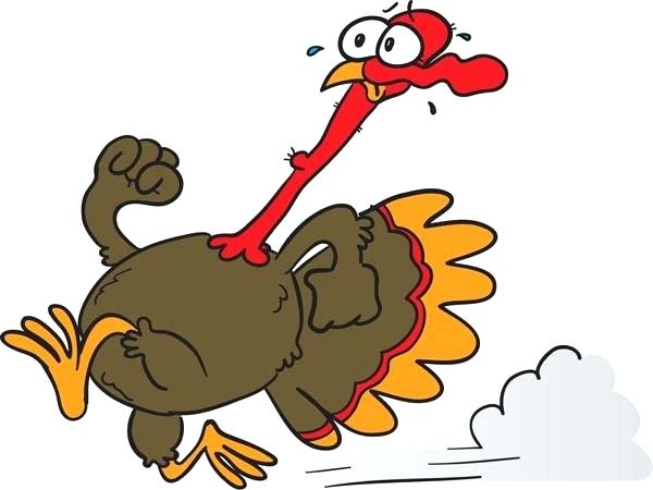 600x450 Cartoon Turky Turkey Cartoon Drawing Images