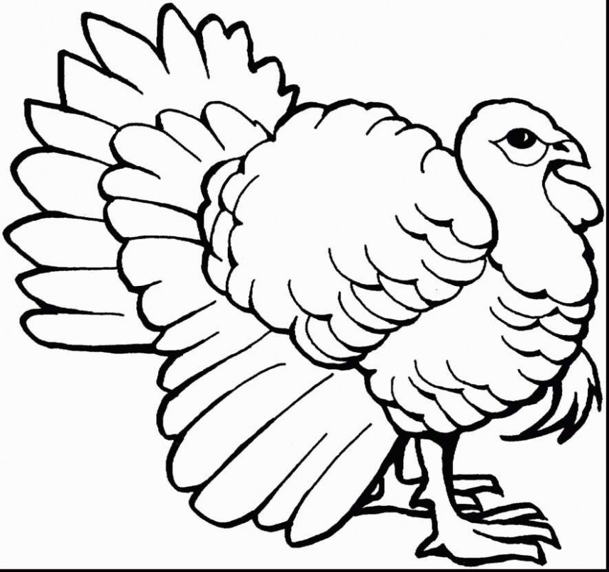 858x806 Turkey Coloring Pages Inspirational Elegant Turkey Drawing Giant