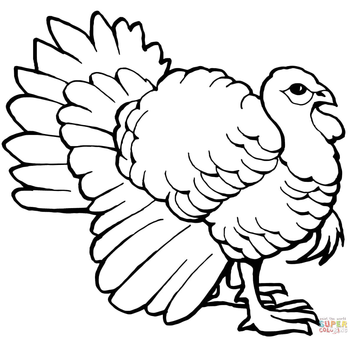 1200x1152 Profitable Turkey Outline Printable Drawing Tom Coloring