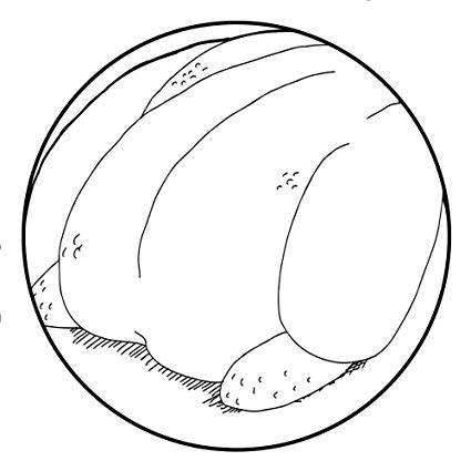 425x425 Door Mats For Insidesingle Turkey Outline