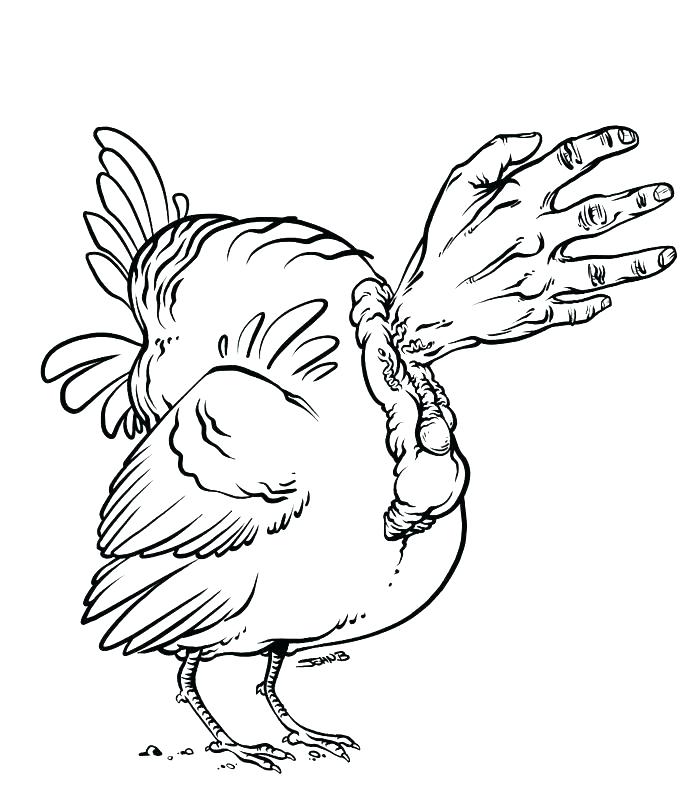 693x790 Turkey Body Outline Coloring Drawing Pages Online Mandala