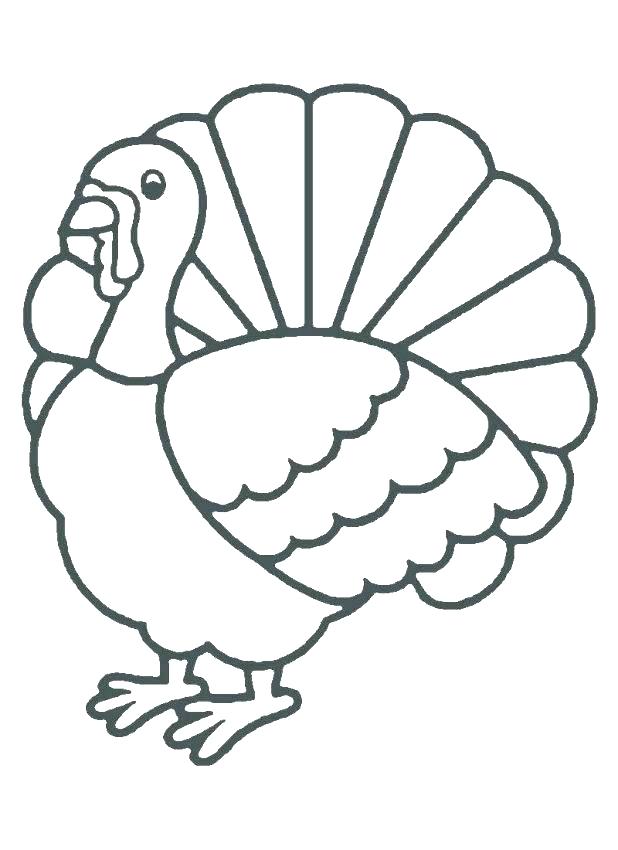 618x850 turkey outline printable turkey outline printable soar outline