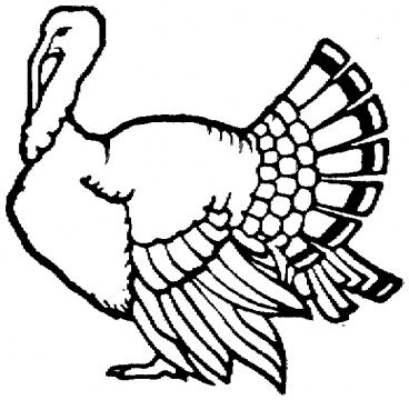368x360 for burlap pictures bird of paradise outline turkey outline
