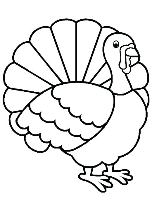 520x693 Easy Turkey Drawing Pix For Easy Turkey Drawings Easy Simple