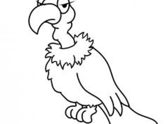 640x480 Free Drawn Turkey Vulture, Download Free Clip Art