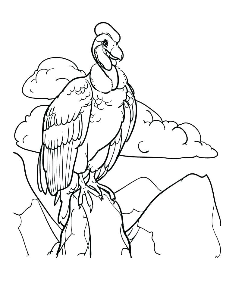 750x1000 vulture coloring pages new world vulture coloring