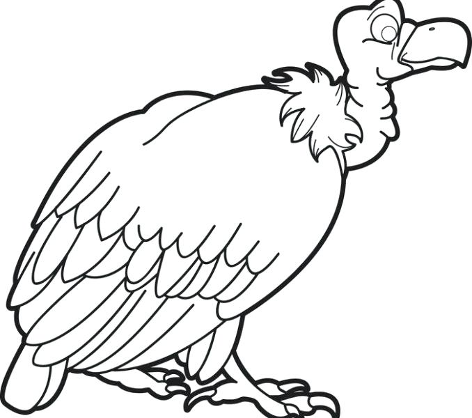 678x600 vulture coloring pages vulture coloring