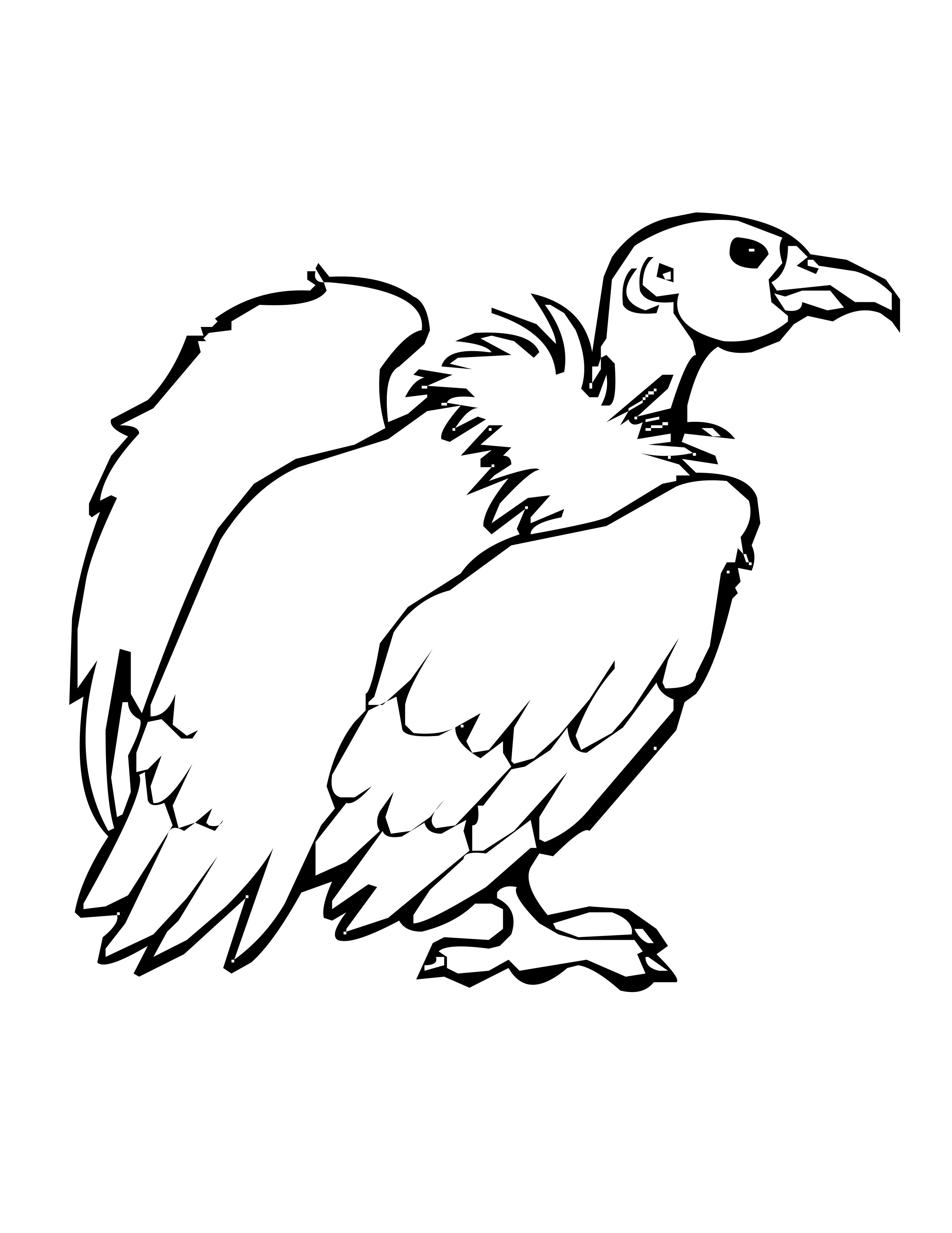 2550x3300 Vulture Drawing Dragon For Free Download