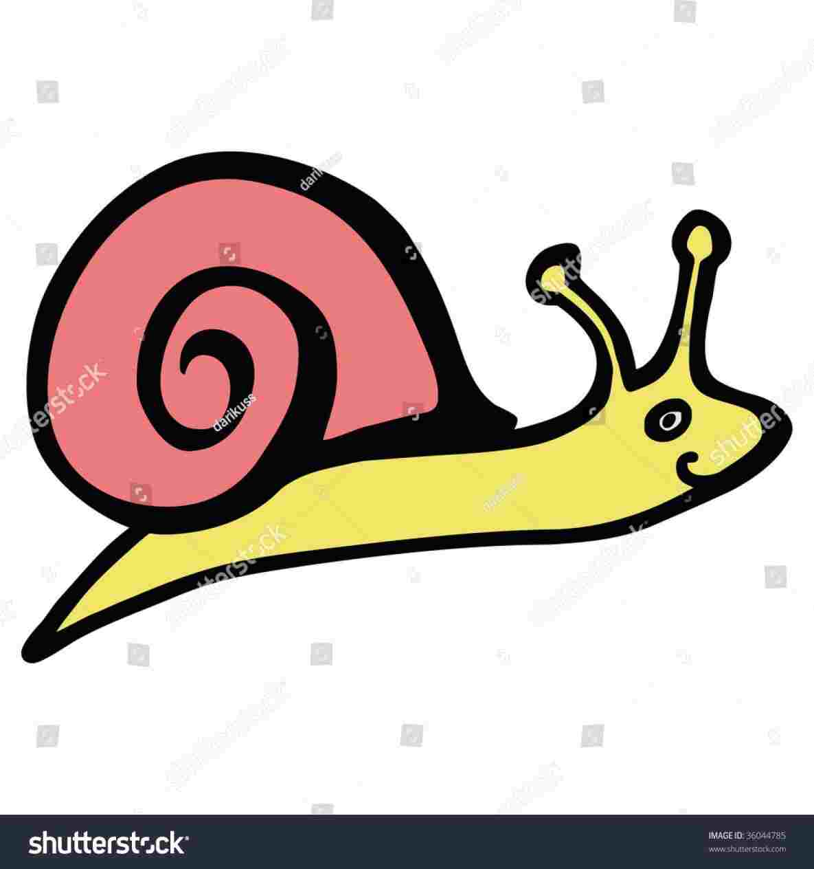 1185x1264 to vectorrhfiverrcom colour photo s sketchrhmartcom colour picture