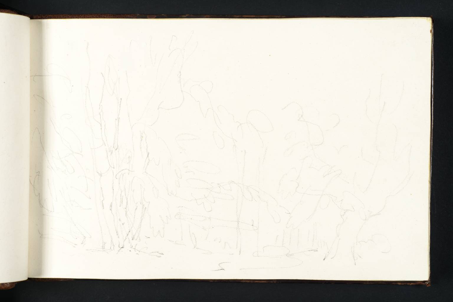 1536x1024 Joseph Mallord William Turner, 'trees'