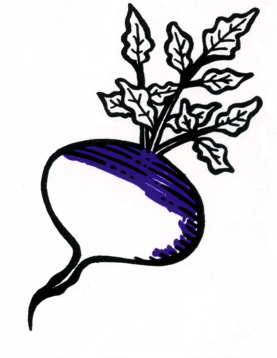 400x516 Turnip Bike Sticker Peace Supplies