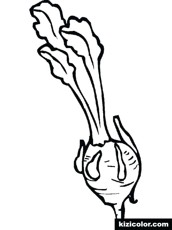 600x800 Turnip Coloring