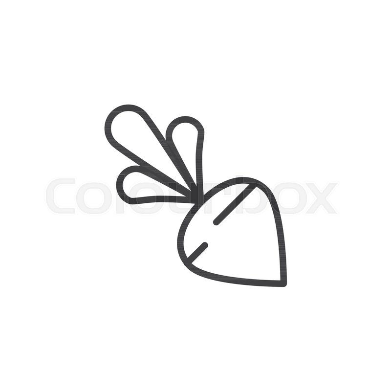 800x800 Turnip Outline Icon Linear Style Sign Stock Vector Colourbox