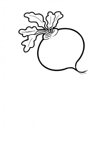 360x462 Turnips Food Hero