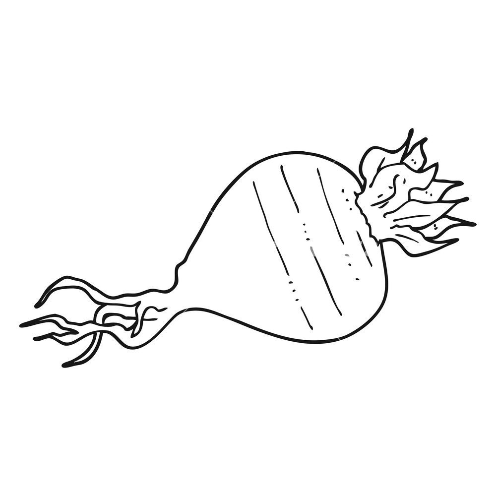 1000x1000 Freehand Drawn Black And White Cartoon Turnip Royalty Free Stock