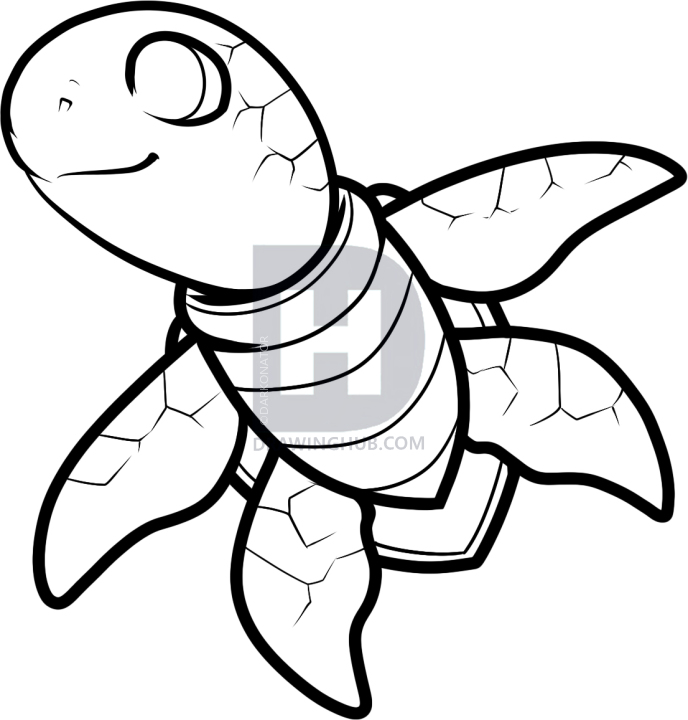 688x720 How To Draw A Sea Turtle, Cartoon Sea Turtle, Step