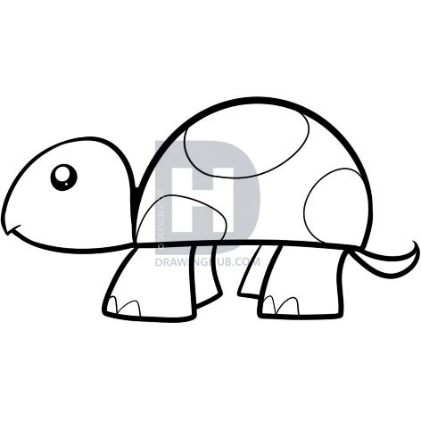 472x472 How To Draw A Turtle For Kids, Step