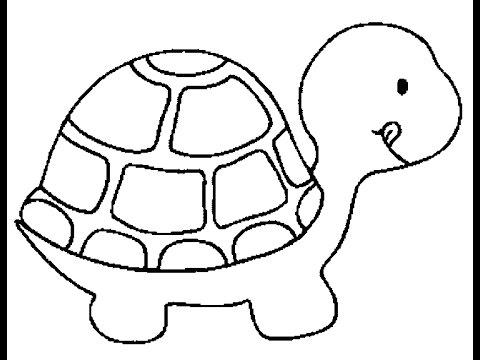 480x360 How To Draw An Easy Turtle Printable
