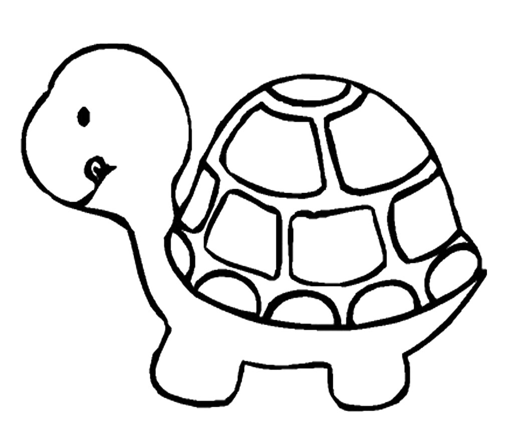 1024x867 Excellent Cartoon Drawing Of Turtle Gallery
