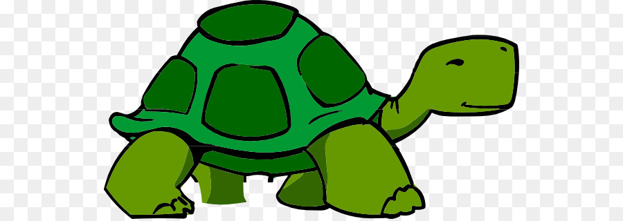 900x320 Turtle, Cartoon, Drawing, Transparent Png Image Clipart Free
