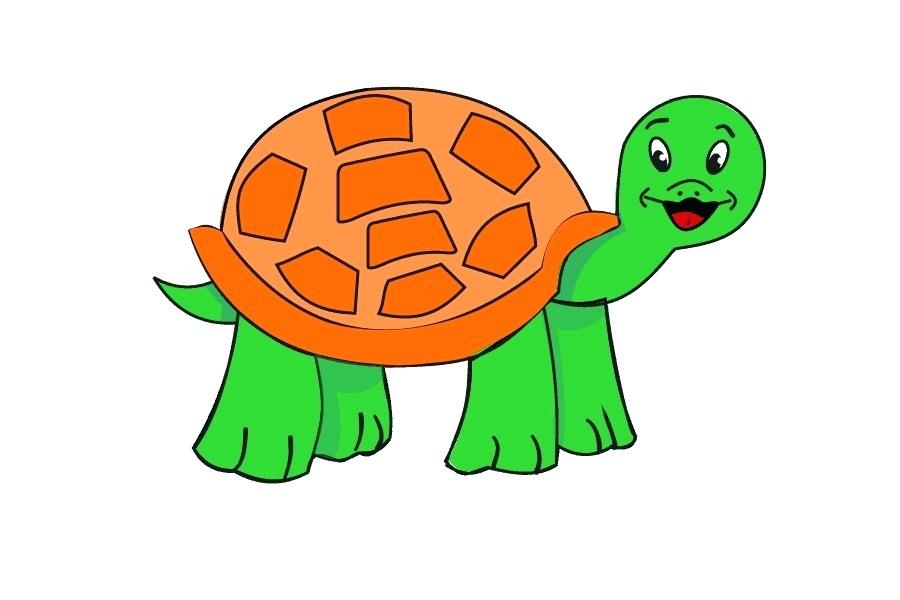 900x600 Cartoon Turtle Drawings